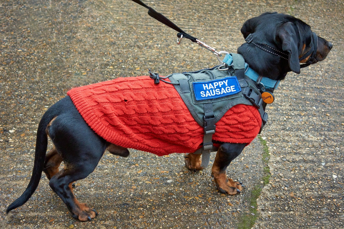 Happy Sausage Embroidered Patch Blue - On Your Barks Merch